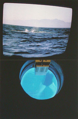 photographies numériques<br>édition de 3.<br>27 x 40.5 cm<br>2003, 2004.